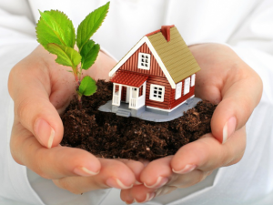 Vay theo bao hiem nhan tho